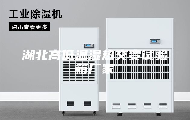 湖北高低温湿热交变试验箱厂家