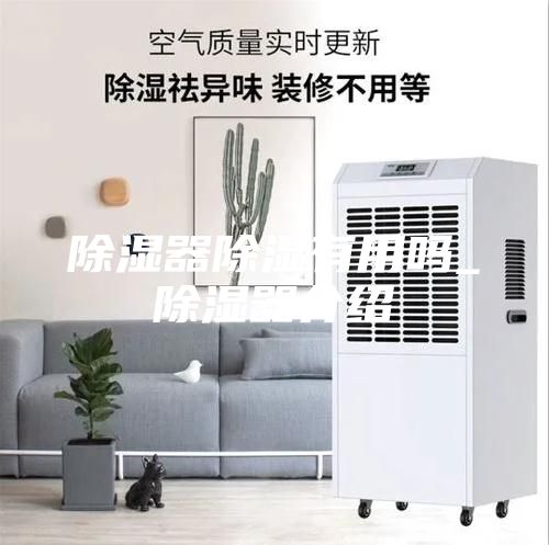 除湿器除湿有用吗_除湿器介绍