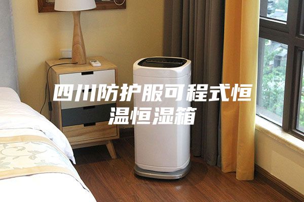 四川防护服可程式恒温恒湿箱