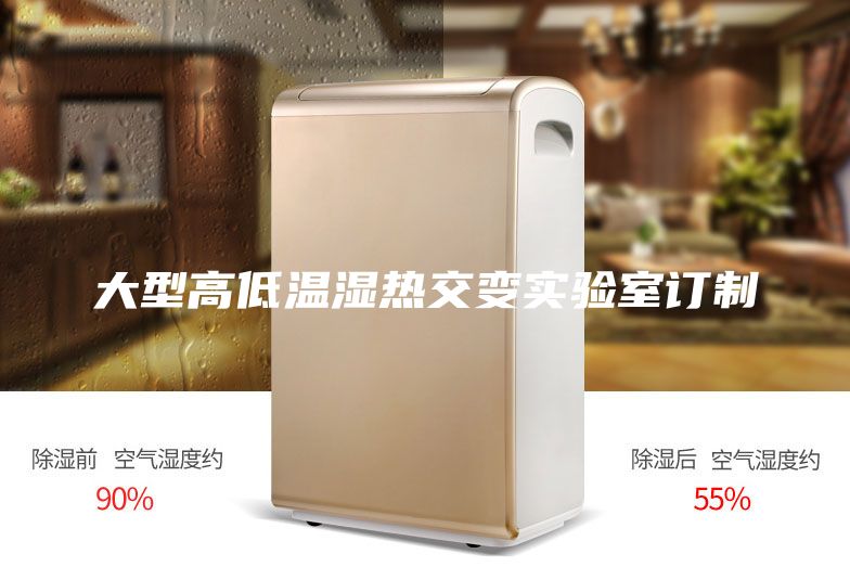 大型高低温湿热交变实验室订制