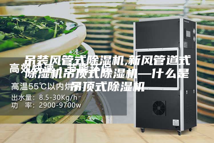 吊装风管式除湿机,新风管道式除湿机吊顶式除湿机—什么是吊顶式除湿机