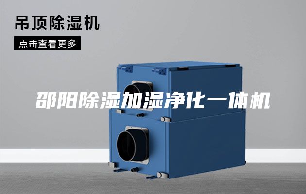 邵阳除湿加湿净化一体机