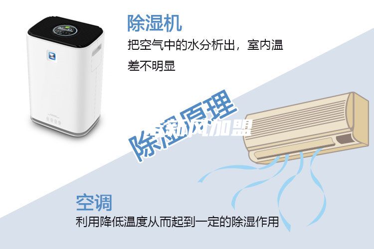纽诺新风加盟