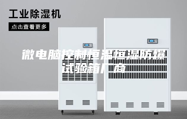 微电脑控制恒温恒湿防爆试验箱厂商