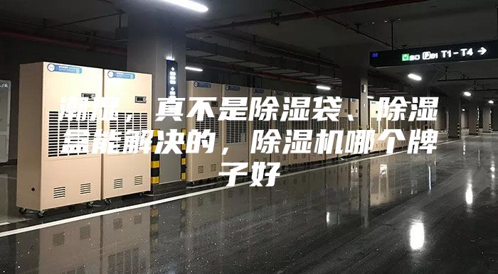 潮湿，真不是除湿袋、除湿盒能解决的，除湿机哪个牌子好
