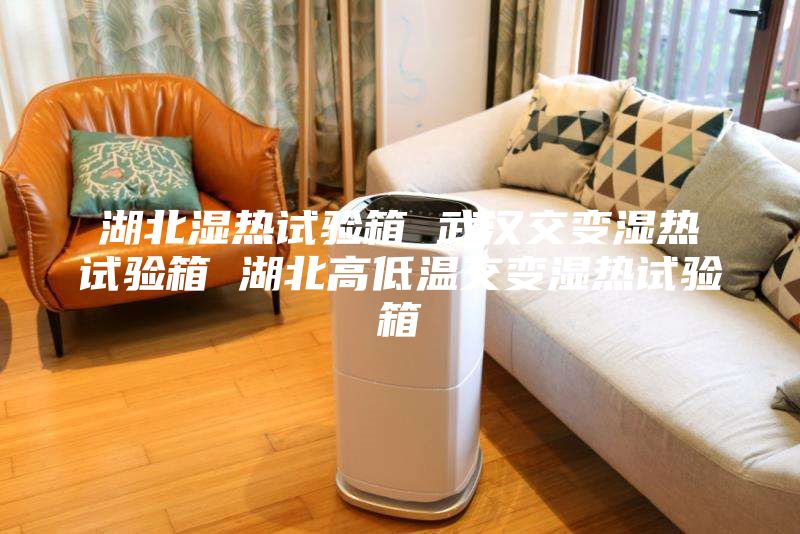 湖北湿热试验箱 武汉交变湿热试验箱 湖北高低温交变湿热试验箱