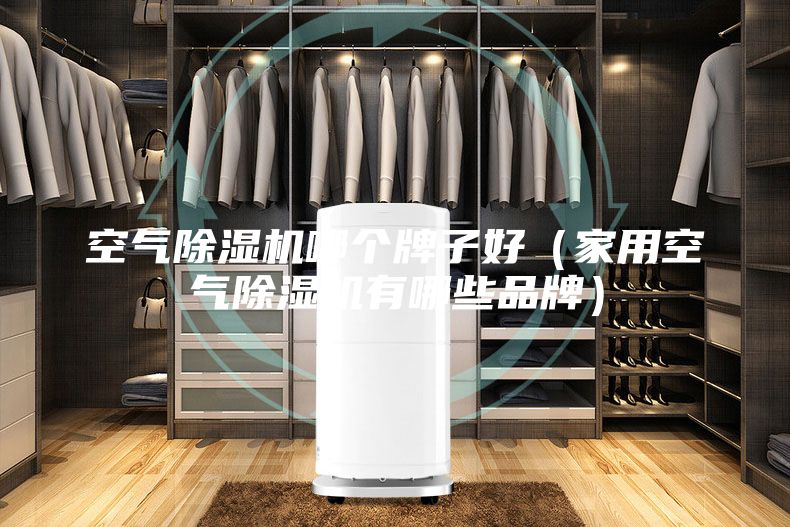 空气除湿机哪个牌子好（家用空气除湿机有哪些品牌）