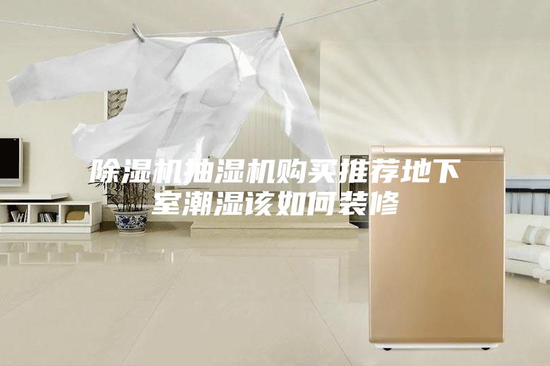 除湿机抽湿机购买推荐地下室潮湿该如何装修