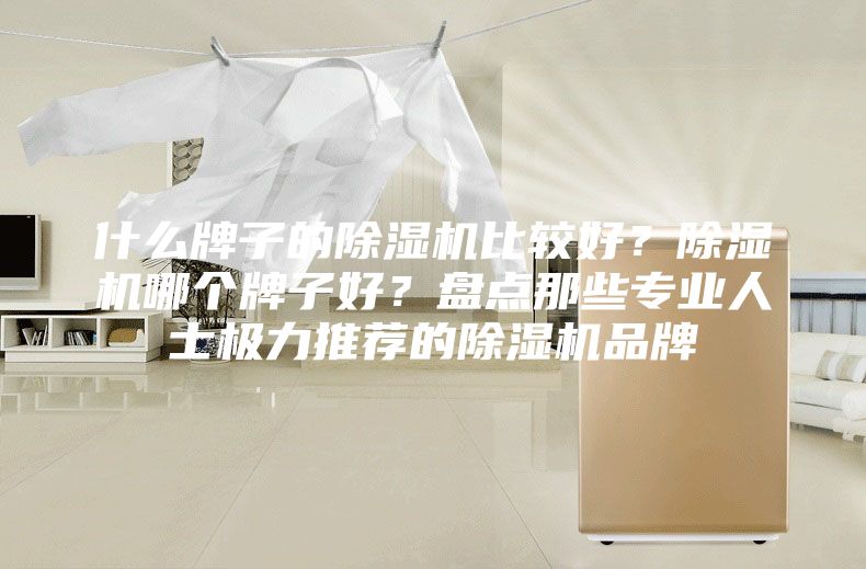 什么牌子的除湿机比较好？除湿机哪个牌子好？盘点那些专业人士极力推荐的除湿机品牌