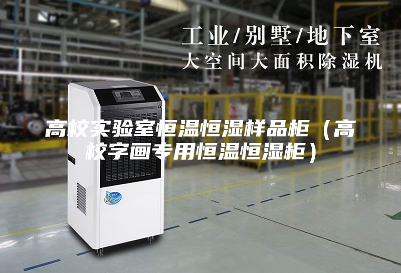高校实验室恒温恒湿样品柜（高校字画专用恒温恒湿柜）