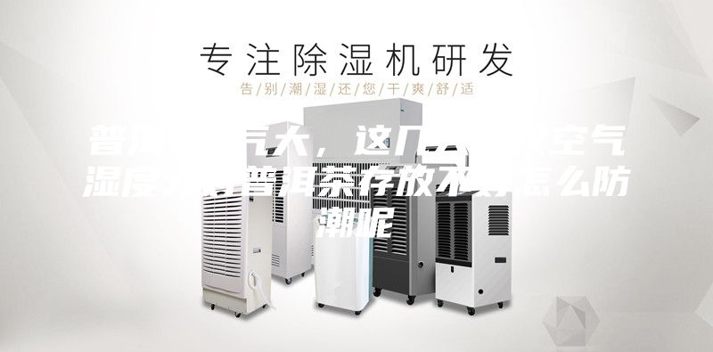 普洱 湿气大，这几天武汉空气湿度大对普洱茶存放不好怎么防潮呢