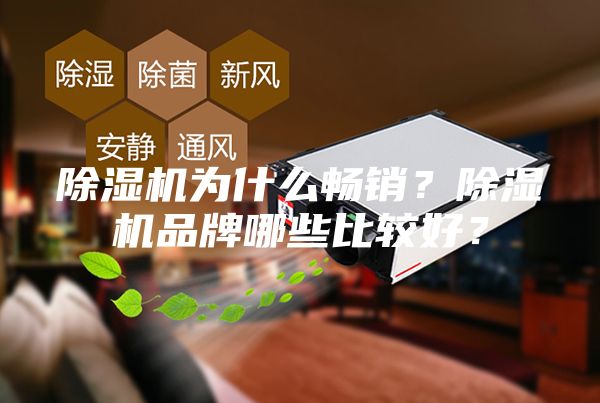 除湿机为什么畅销？除湿机品牌哪些比较好？