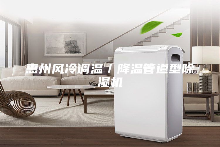 惠州风冷调温／降温管道型除湿机
