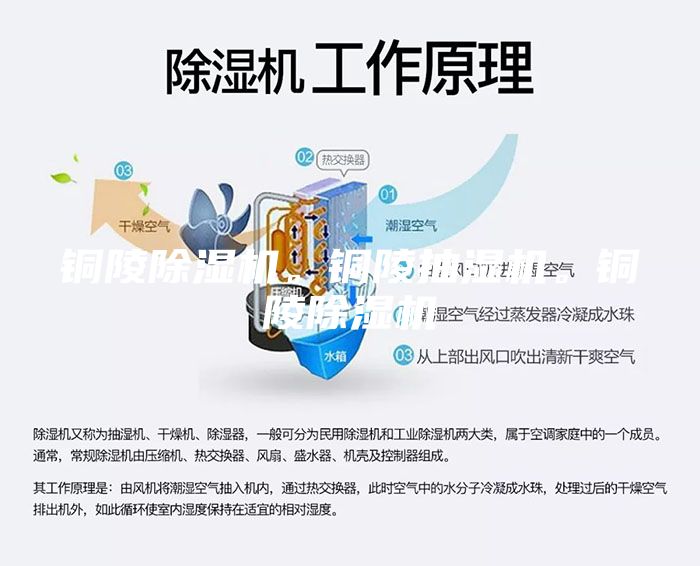 铜陵除湿机。铜陵抽湿机。铜陵除湿机