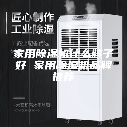 家用除湿机什么牌子好 家用除湿机品牌推荐