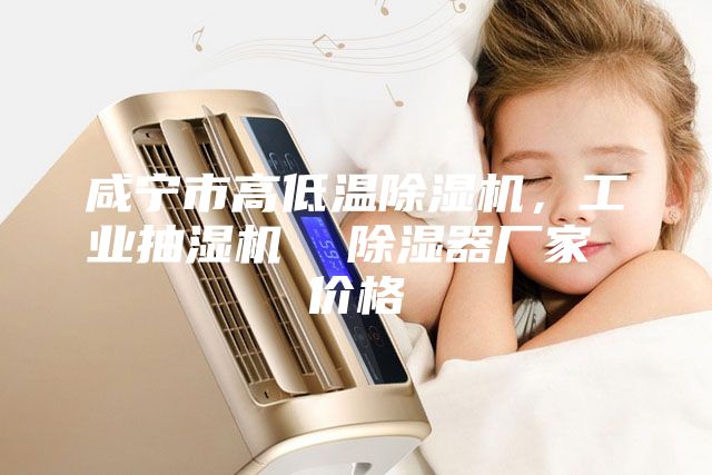 咸宁市高低温除湿机，工业抽湿机  除湿器厂家 价格