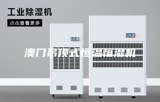 澳门吊顶式恒温恒湿机