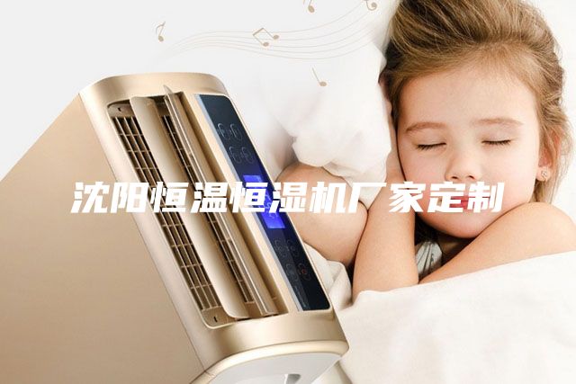 沈阳恒温恒湿机厂家定制