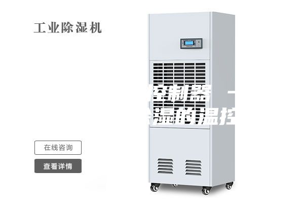 智能温湿度控制器 一种控制加热除湿的温控仪