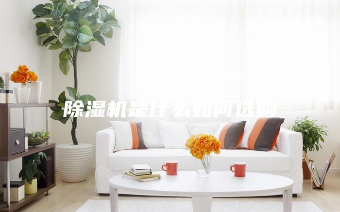 除湿机是什么如何选购