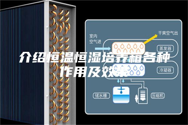 介绍恒温恒湿培养箱各种作用及效果