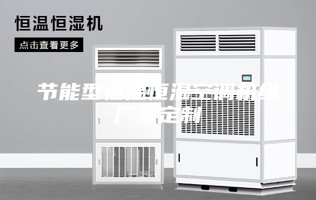节能型恒温恒湿空调机组厂家定制