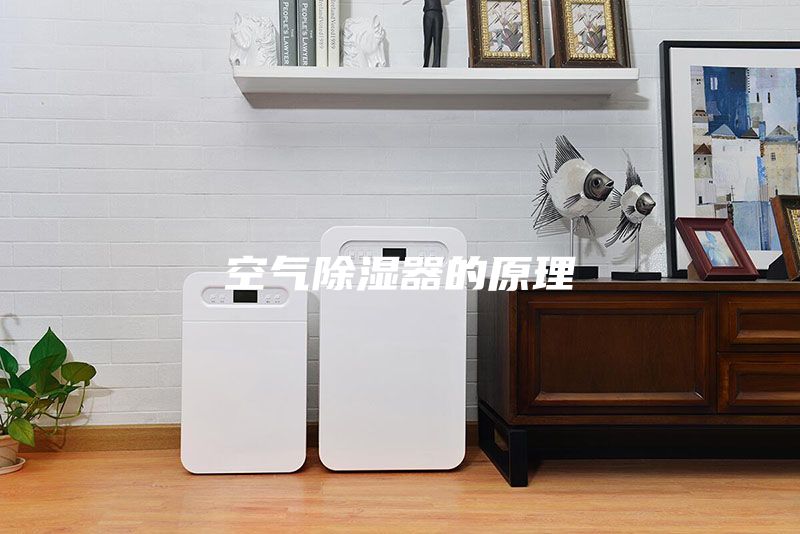 空气除湿器的原理
