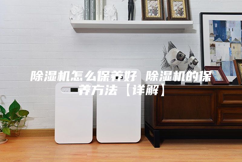 除湿机怎么保养好 除湿机的保养方法【详解】