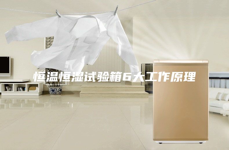 恒温恒湿试验箱6大工作原理