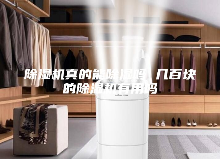 除湿机真的能除湿吗 几百块的除湿机有用吗