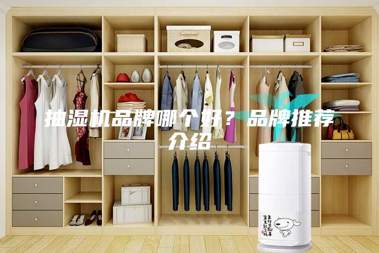 抽湿机品牌哪个好？品牌推荐介绍