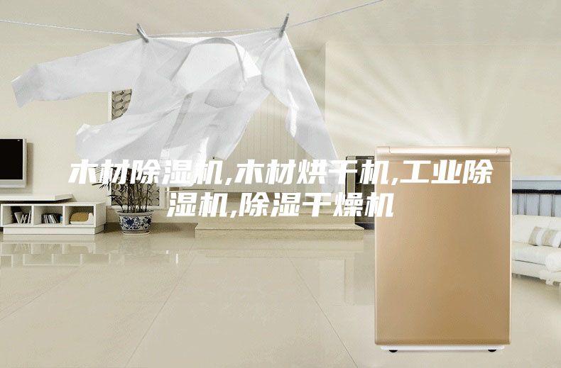 木材除湿机,木材烘干机,工业除湿机,除湿干燥机