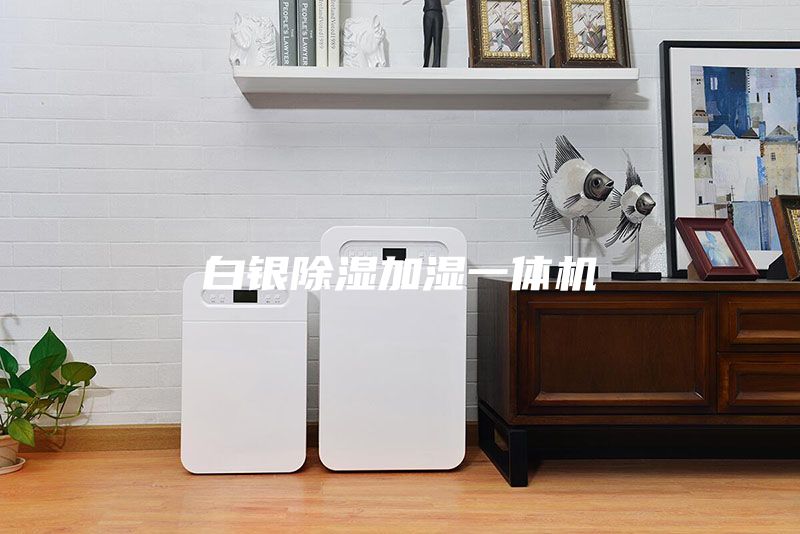 白银除湿加湿一体机