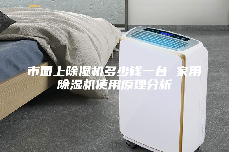 市面上除湿机多少钱一台 家用除湿机使用原理分析