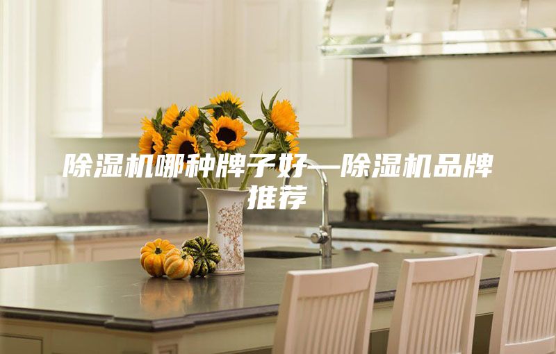 除湿机哪种牌子好—除湿机品牌推荐