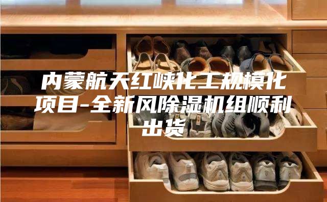 内蒙航天红峡化工规模化项目-全新风除湿机组顺利出货