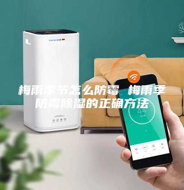 梅雨季节怎么防霉 梅雨季防霉除湿的正确方法