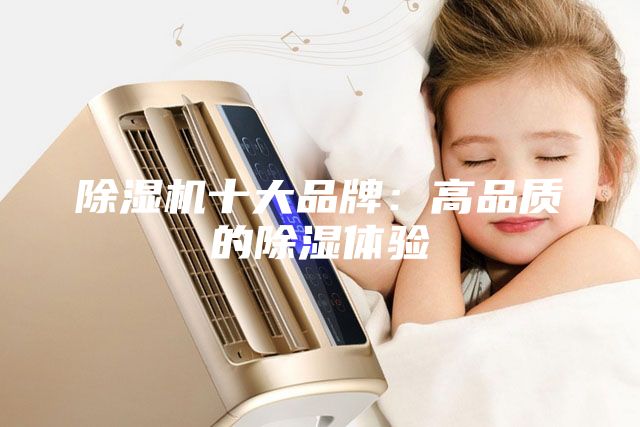 除湿机十大品牌：高品质的除湿体验