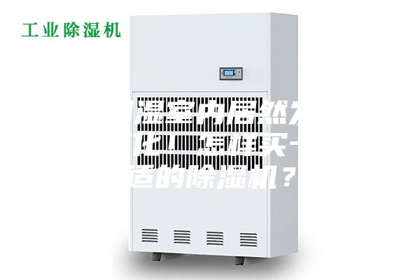 长期潮湿室内居然发生这样的变化！怎样买一台合适的除湿机？