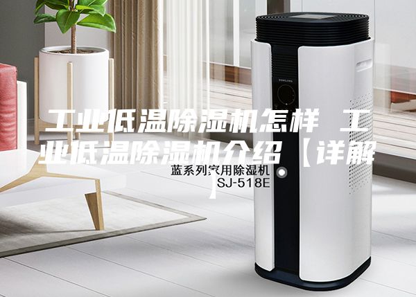 工业低温除湿机怎样 工业低温除湿机介绍【详解】