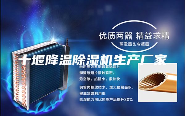 十堰降温除湿机生产厂家