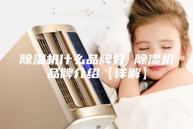 除湿机什么品牌好 除湿机品牌介绍【详解】