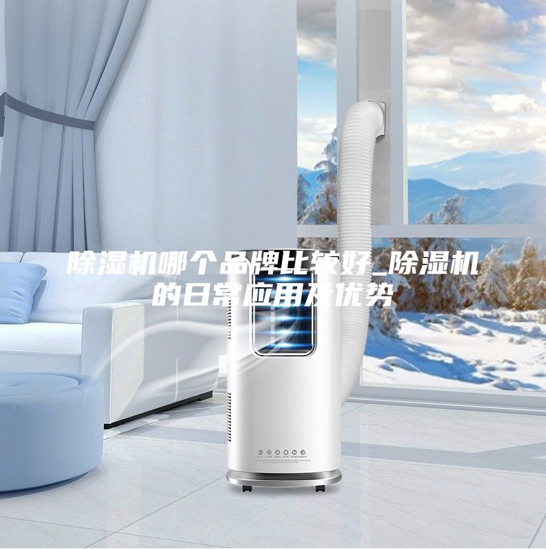 除湿机哪个品牌比较好_除湿机的日常应用及优势