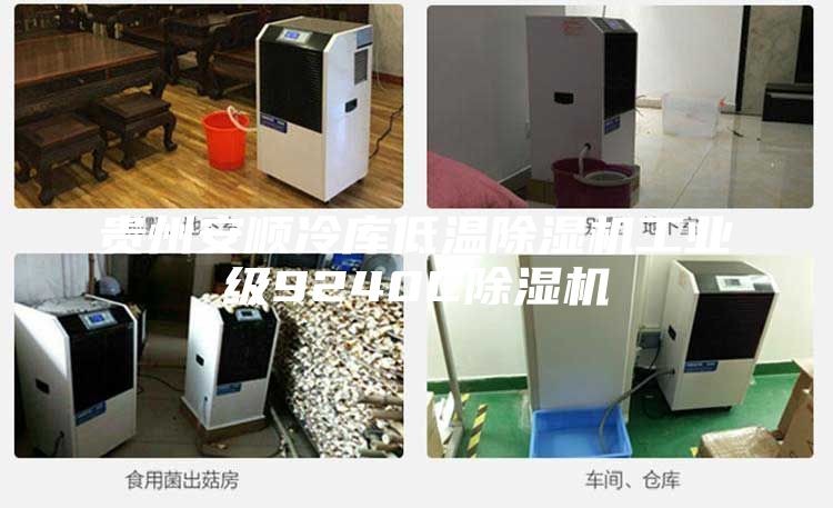 贵州安顺冷库低温除湿机工业级9240C除湿机