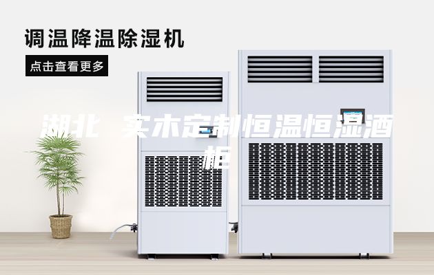 湖北 实木定制恒温恒湿酒柜