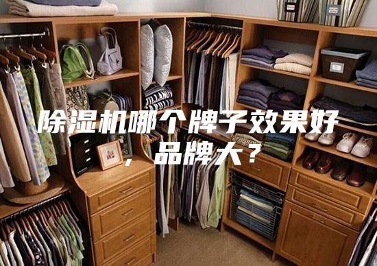 除湿机哪个牌子效果好，品牌大？