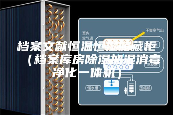档案文献恒温恒湿储藏柜（档案库房除湿加湿消毒净化一体机）