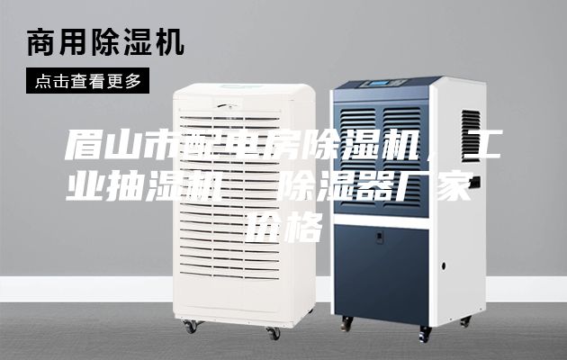 眉山市配电房除湿机，工业抽湿机  除湿器厂家 价格