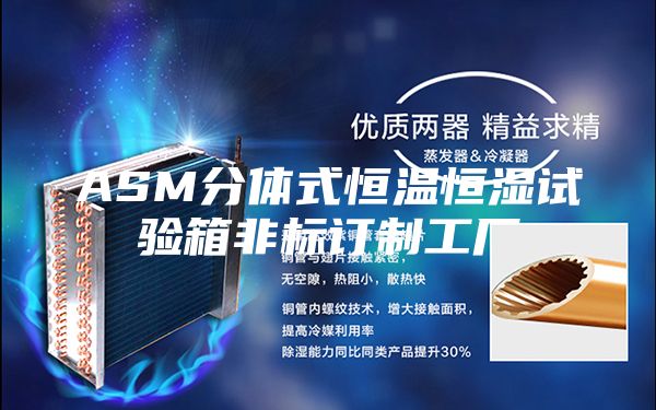 ASM分体式恒温恒湿试验箱非标订制工厂