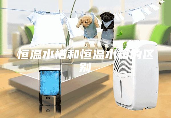 恒温水槽和恒温水箱的区别